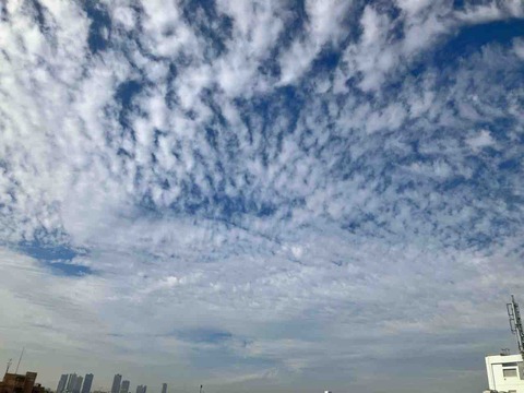 今日の空