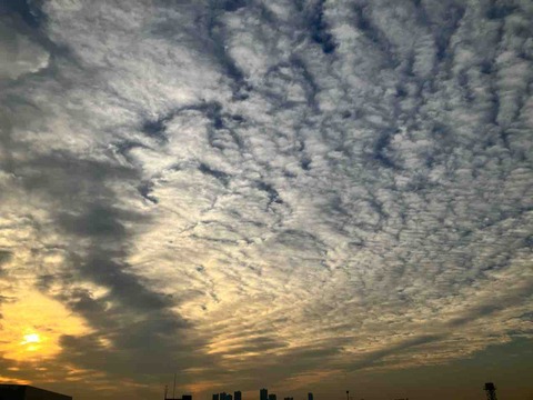 今日の空