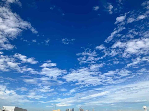 今日の空
