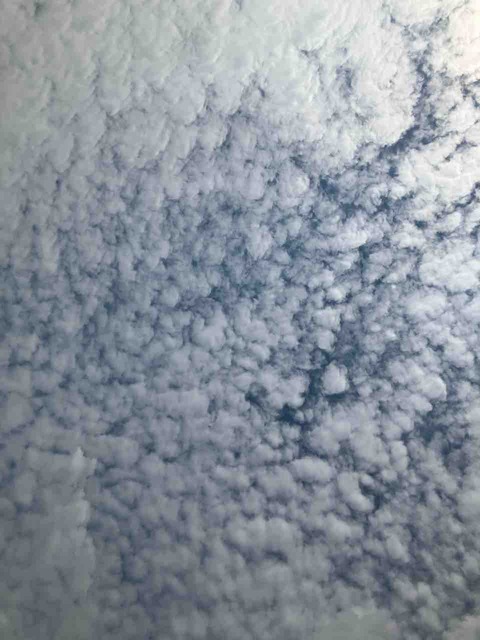 今日の空