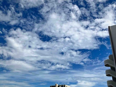 今日の空
