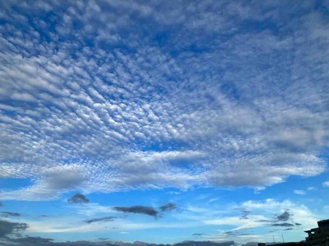 今日の空