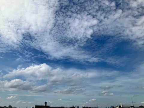 今日の空