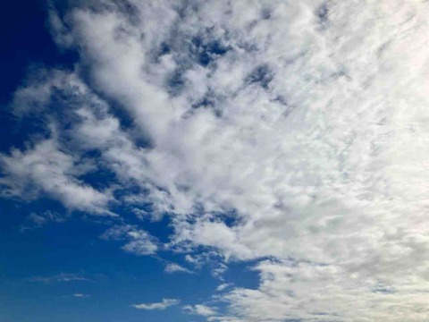 今日の空