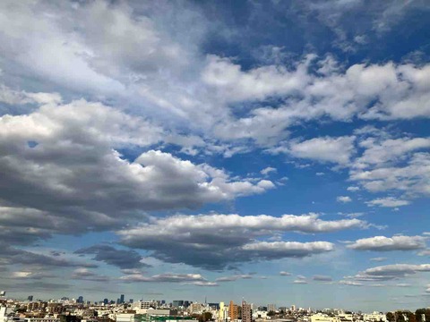 今日の空
