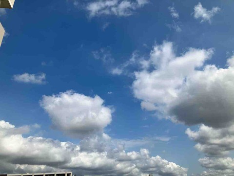 今日の空