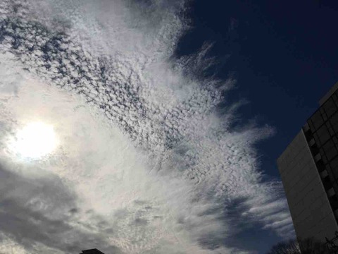 今日の空模様