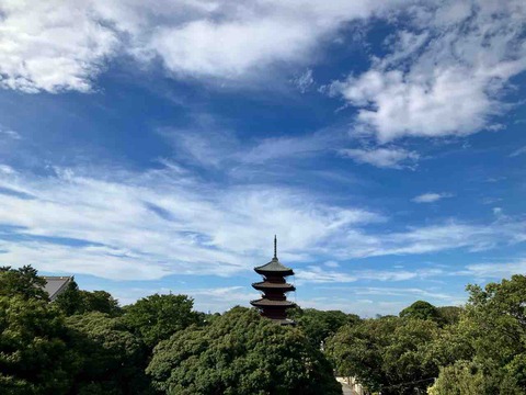 今日の空