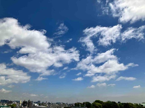 今日の空