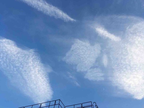 今日の空