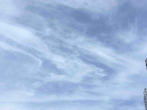 今日の空