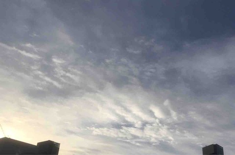 今日の空