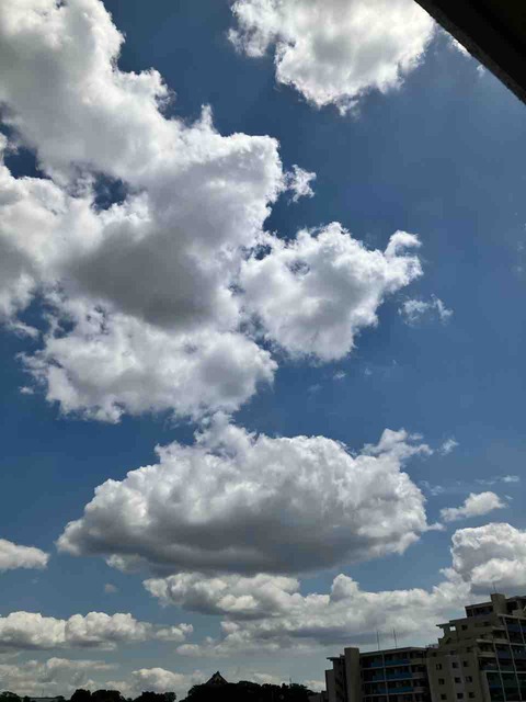 今日の空