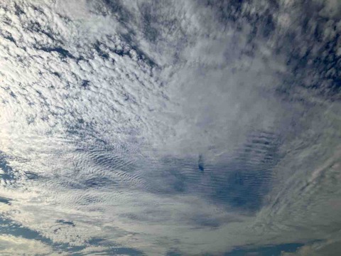 今日の空