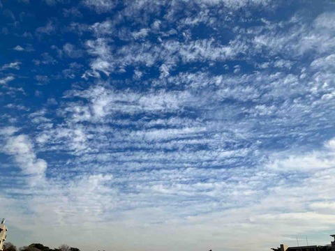 今日の空