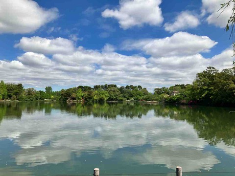 洗足池公園