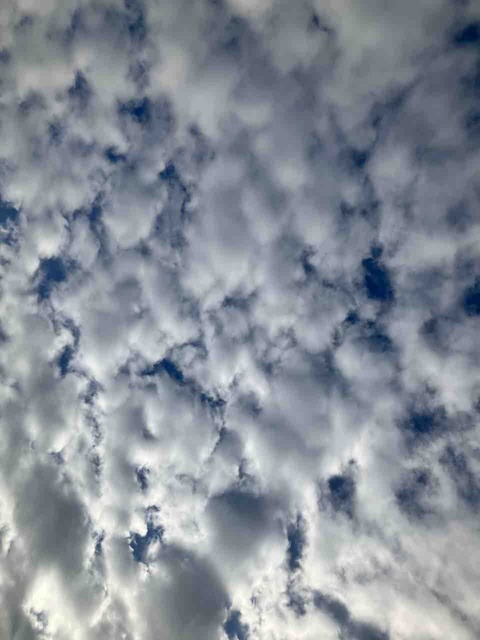 今日の空