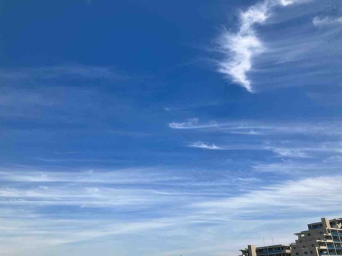 今日の空