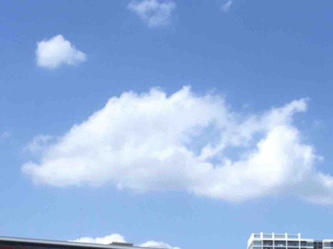 今日の空