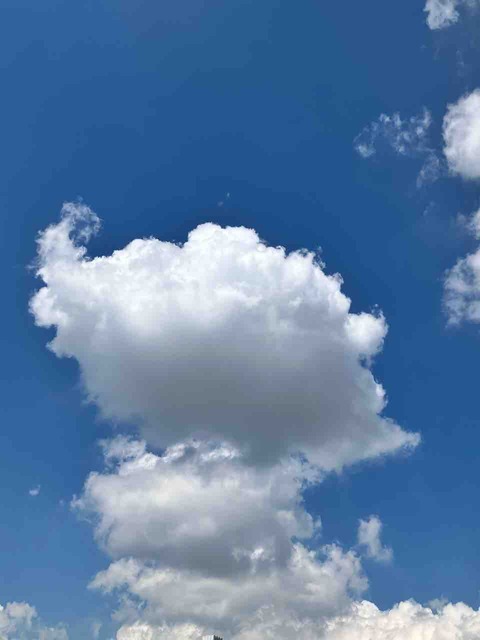 今日の空