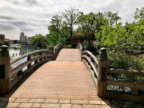 洗足池公園 橋