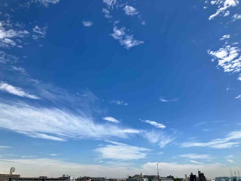 今日の空