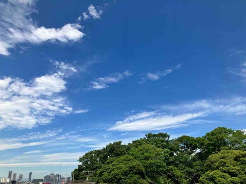 今日の空