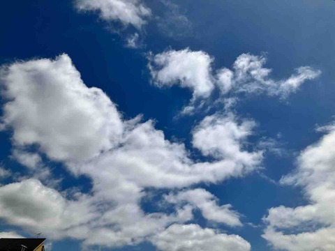 今日の空