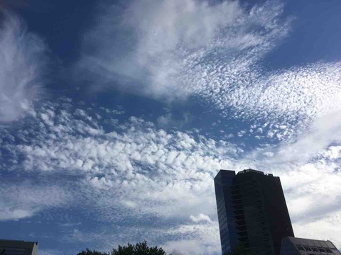 今日の空模様