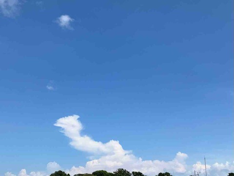 今日の空