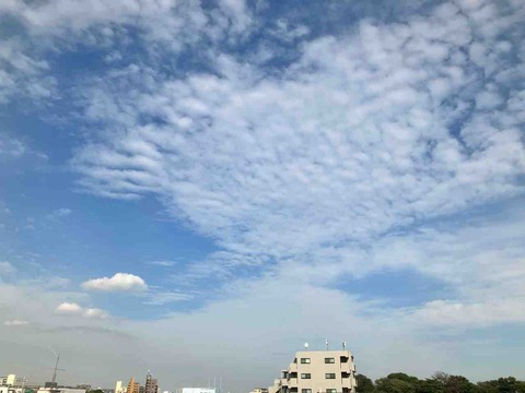 今日の空