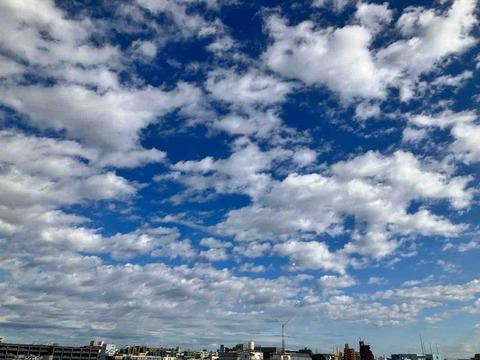 今日の空