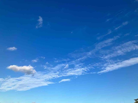 今日の空
