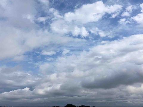今日の空