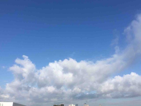 今日の空
