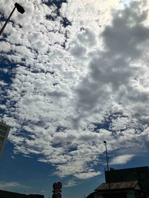 今日の空