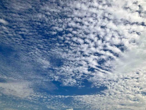 今日の空