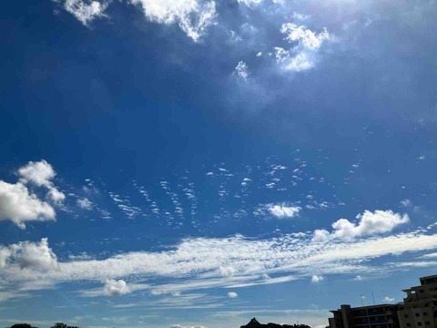 今日の空