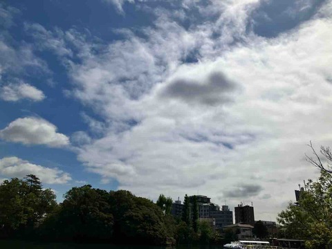 今日の空