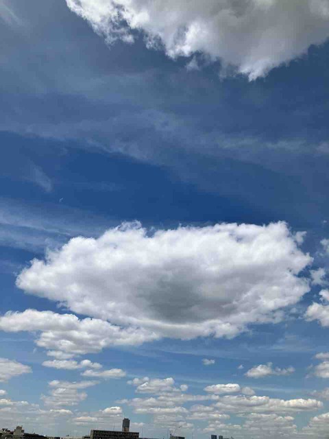 今日の空
