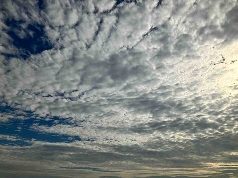 今日の空
