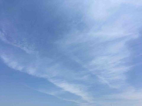 今日の空
