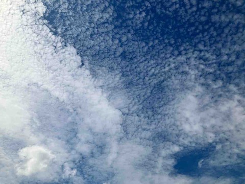 今日の空