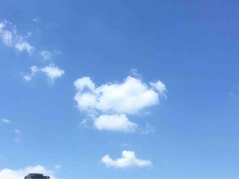 今日の空