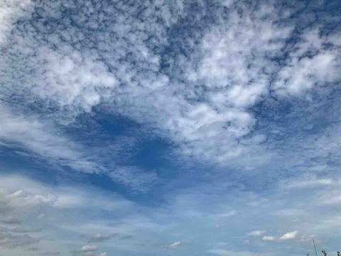今日の空