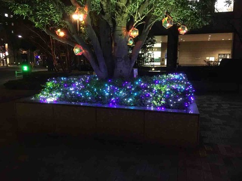 夜景