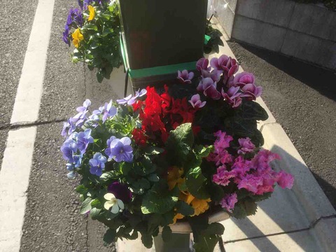 花