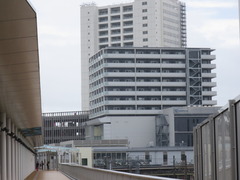 IMG_7151 IMG_7148