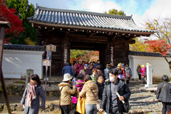IMG_1088R-1