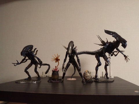 my69154jJfYt7K-8QtyGEdg